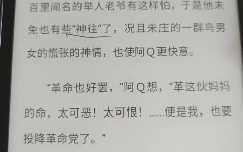 阿q正传故事梗概简短，阿q正传的故事梗概