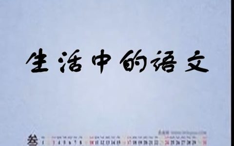 中华文化作文800字高中，传承中华文化作文800字高中