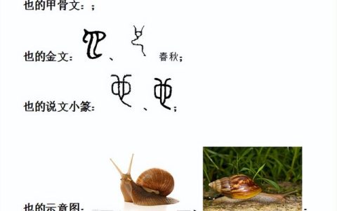 也的四字成语(也字开头)，也的四字成语也字开头