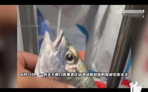 鳃鳃过虑是什么意思，鳃鳃过虑的意思