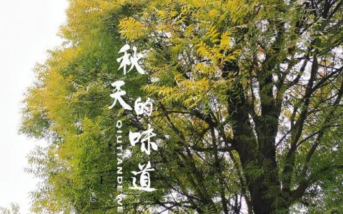 花开不只在春天作文600字记叙文，花开不只在春天作文600字初中记叙文！