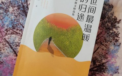 注视造句子二年级，注视造句子二年级上册！